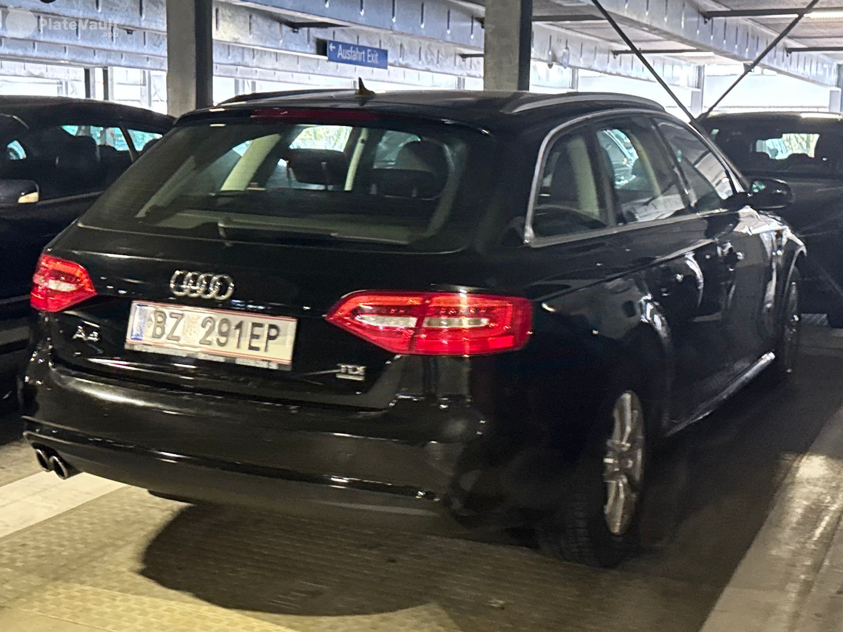 BZ 291 EP plate