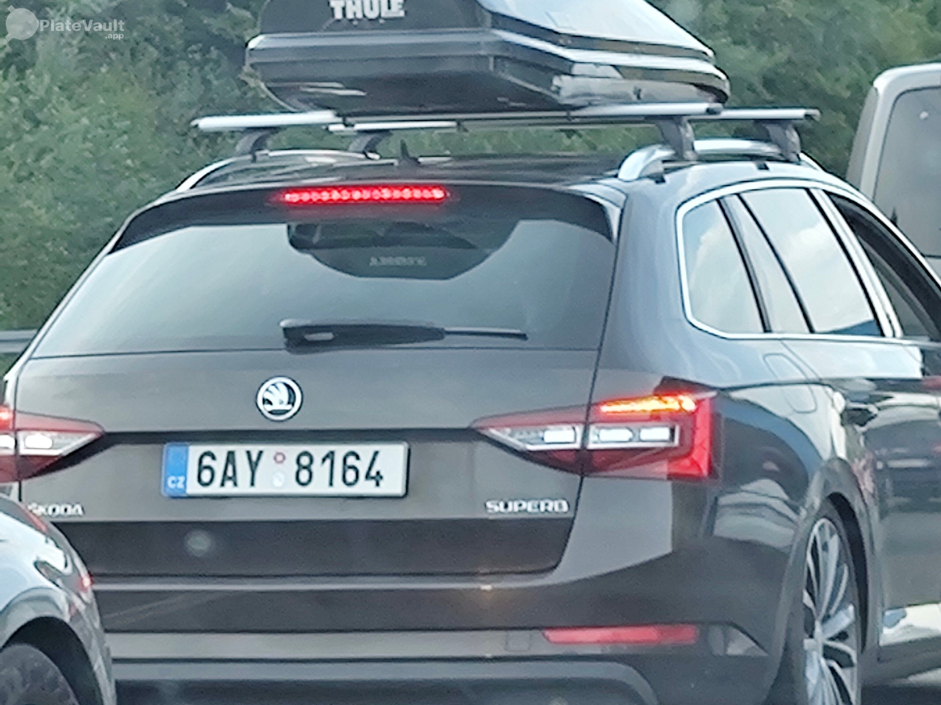 6AY 8164