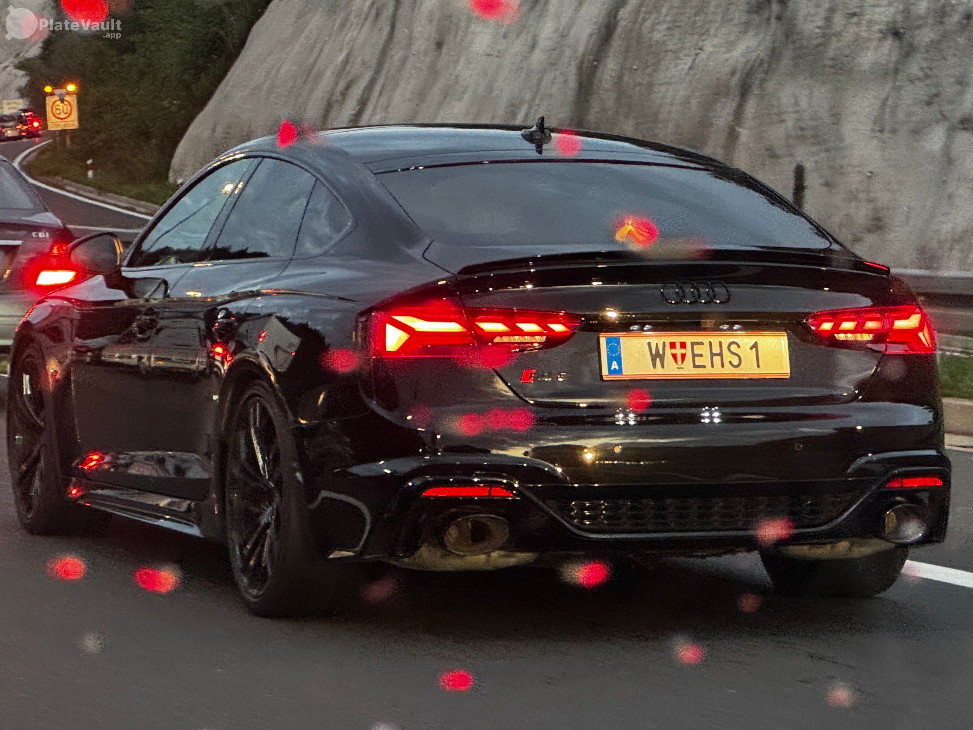 W EHS 1 plate